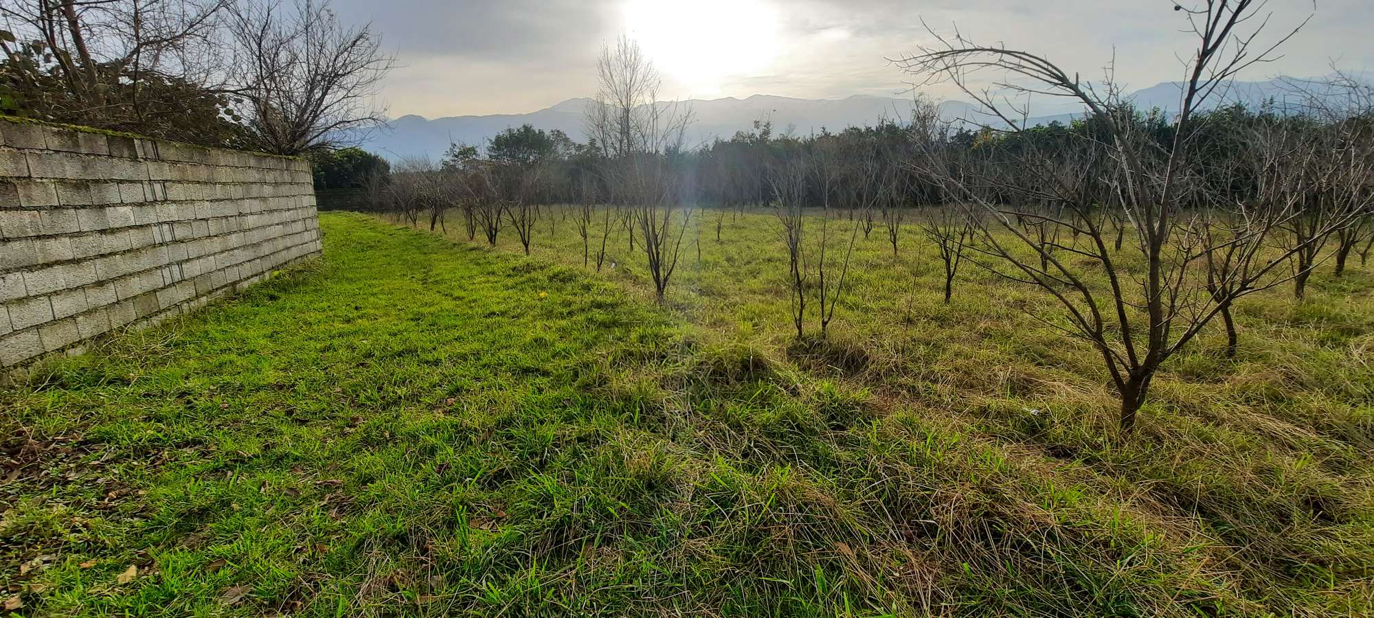 خرید و فروش قطعه زمین ۱۸۰۰ متری در تنکابن